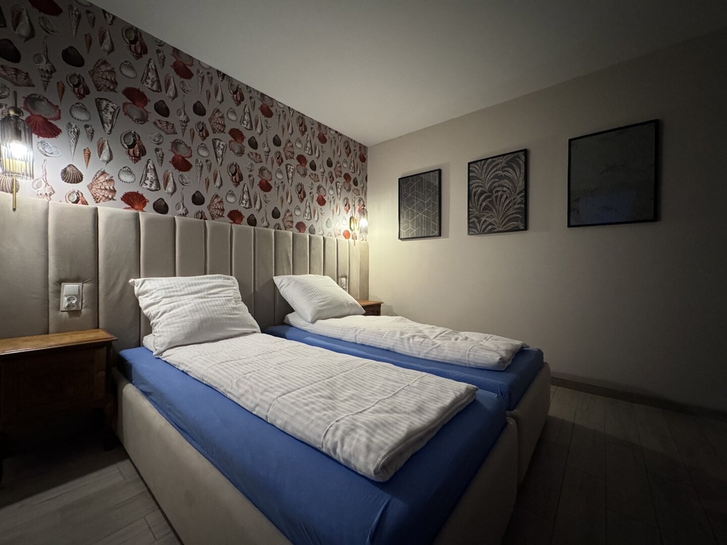 Little White Frog 24